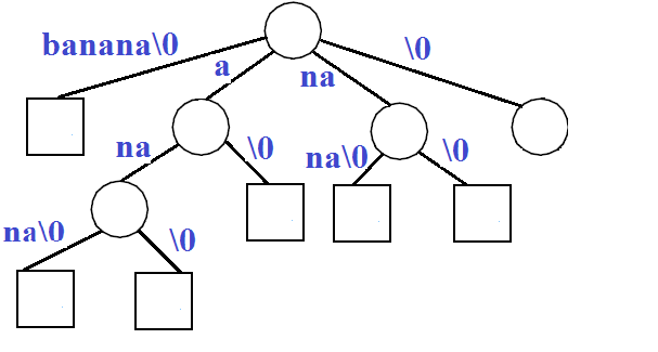 alg-domain-char-st-5.png