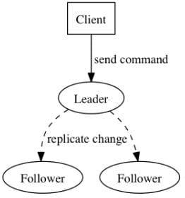 alg-dst-raft-1.jpg