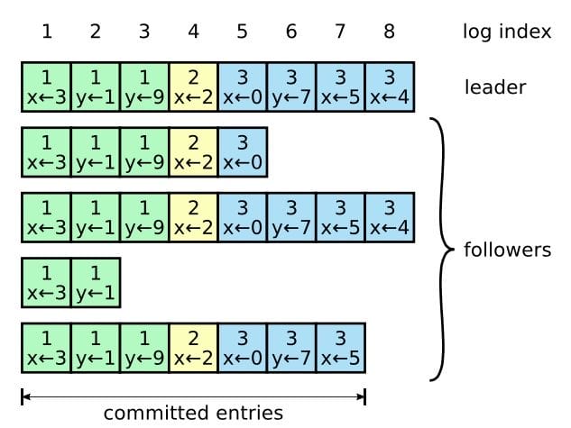 alg-dst-raft-6.jpg
