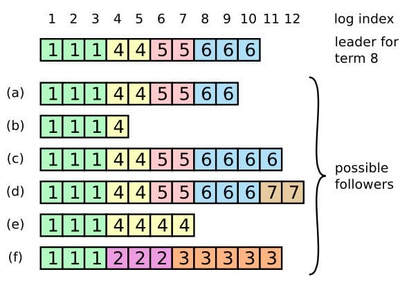 alg-dst-raft-7.jpg