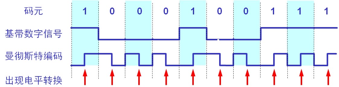 dev-network-basic-30.jpg