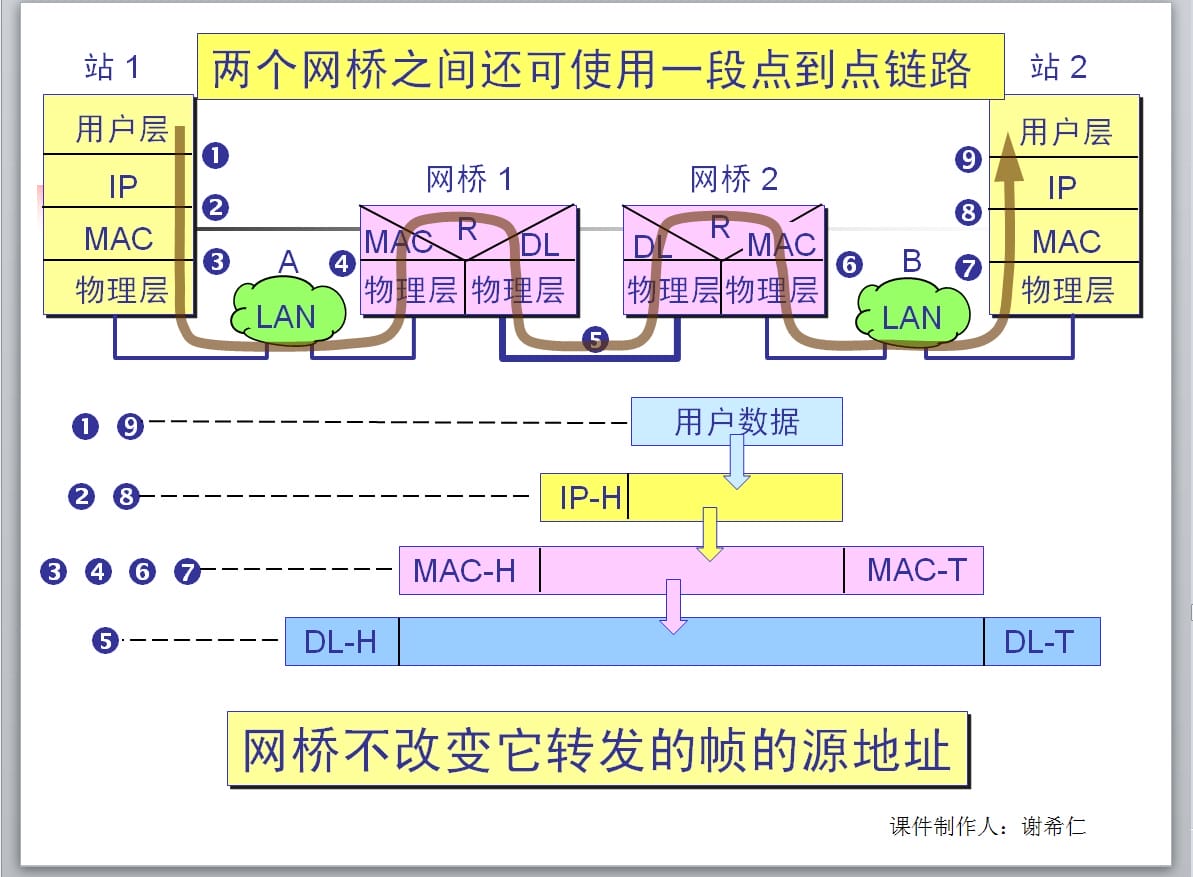 dev-network-basic-37.jpg