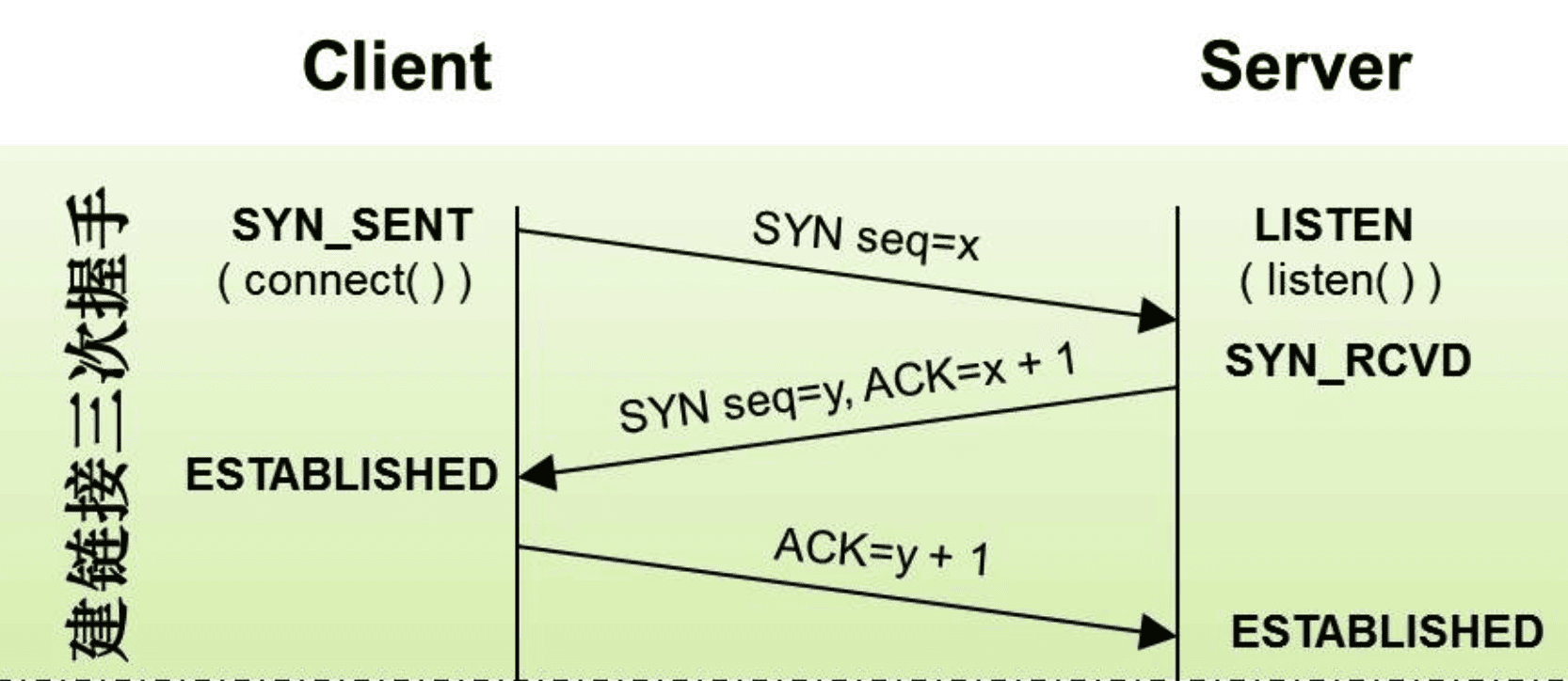 dev-network-protocol-x1.png