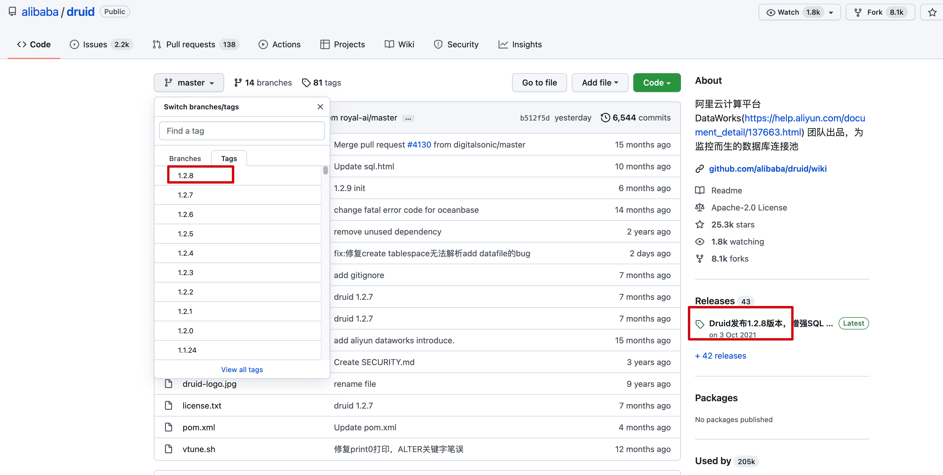 springboot-druid-3.png